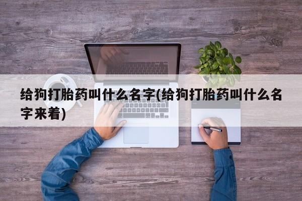 堕胎药微信有谁买微信给狗打胎药叫什么名字(给狗打胎药叫什么名字来着)