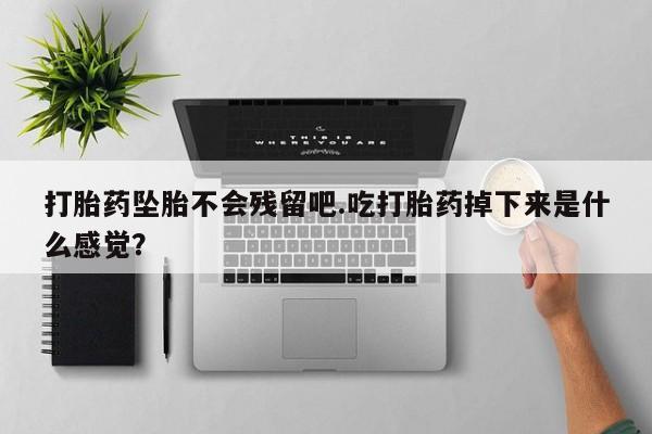 堕胎药微信有谁买微信打胎药坠胎不会残留吧.吃打胎药掉下来是什么感觉？