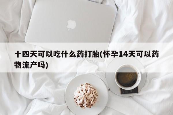 堕胎药微信有谁买微信十四天可以吃什么药打胎(怀孕14天可以药物流产吗)